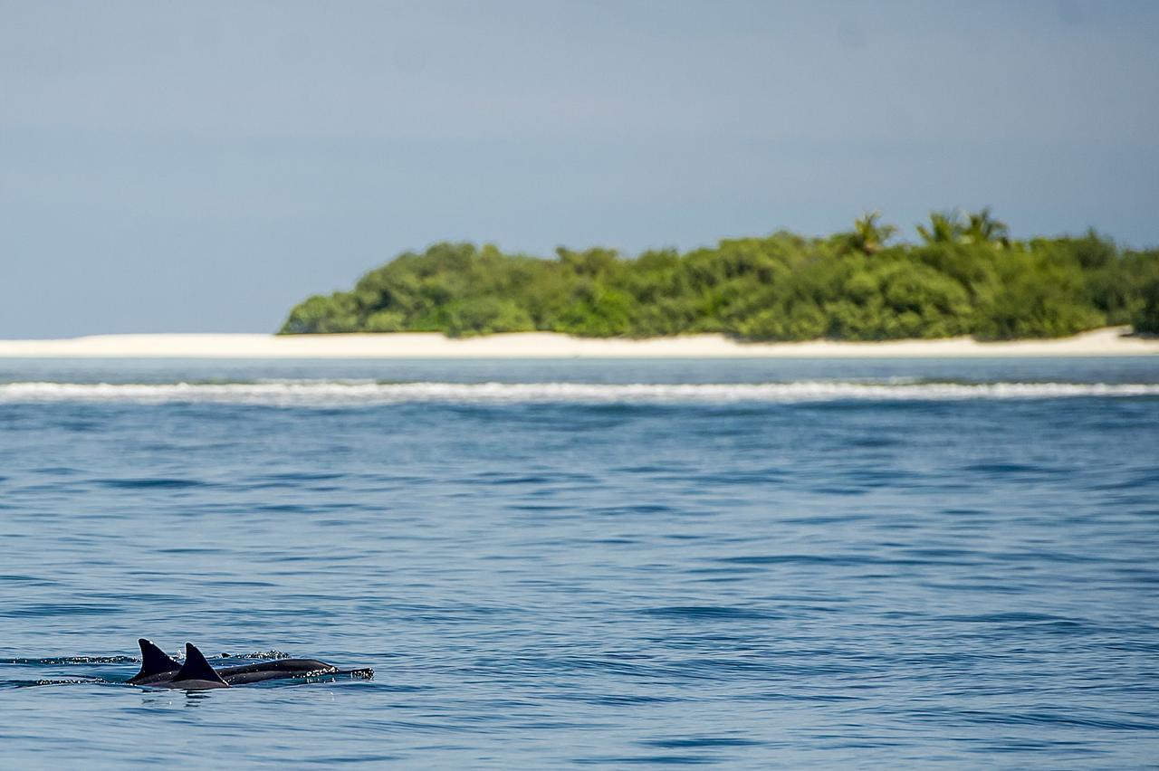 Detour Beach View Hangnaameedhoo Екстериор снимка