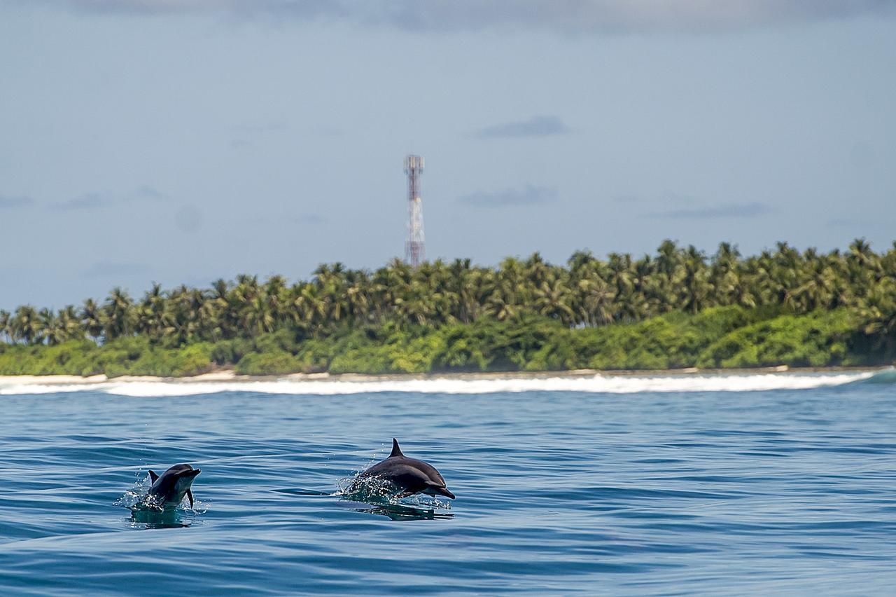 Detour Beach View Hangnaameedhoo Екстериор снимка